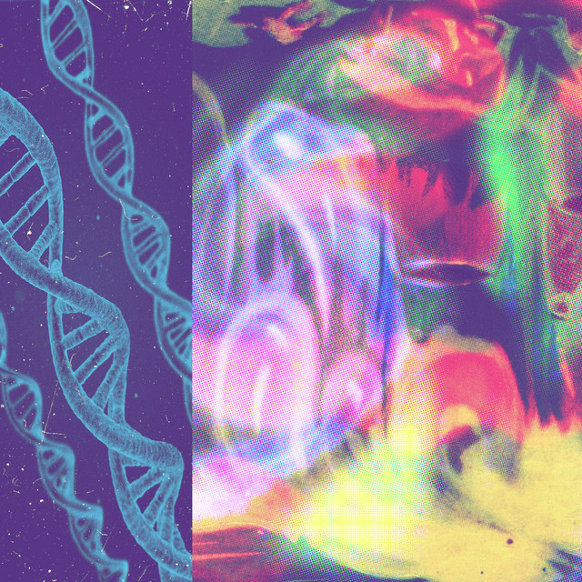 19. Feline Wave Race by Nap Eyes